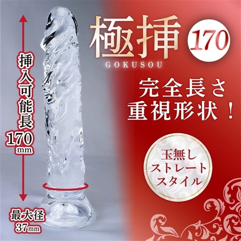 Alternative view of 極挿　（１７０）