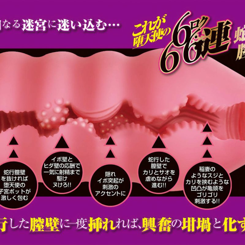 Alternative view of ６連蛇行膣壁（クランク）　カリ責ベリアル